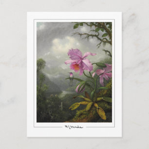 Martin Johnson Heade #4 - Finkonstkort Vykort