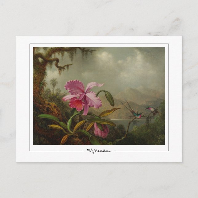 Martin Johnson Heade #51 - Finkonstkort Vykort (Framsida)