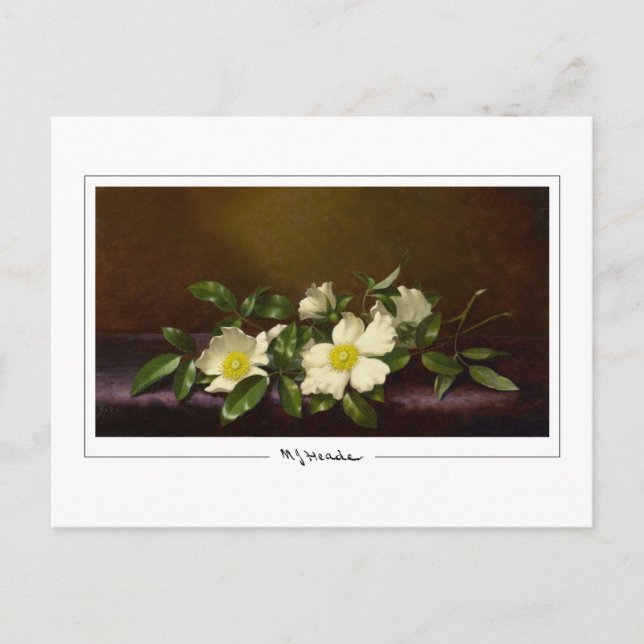 Martin Johnson Heade #52 - Finkonstkort Vykort (Framsida)