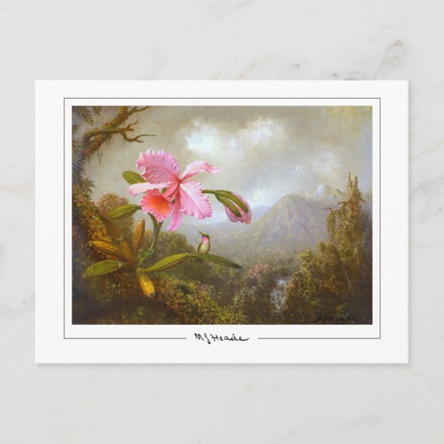 Martin Johnson Heade #8 - Finkonstkort Vykort (Framsida)