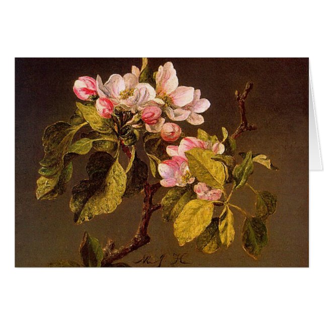 Martin Johnson Heade - Apple blommar Hälsningskort (Framsidan Horizontal)
