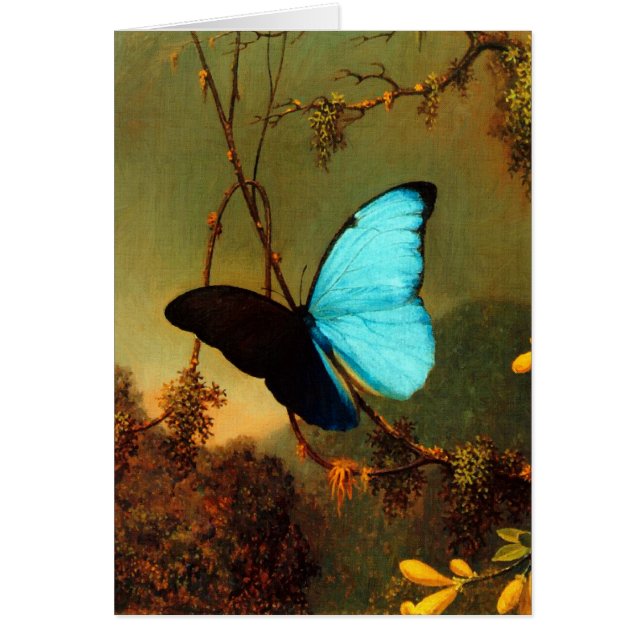 Martin Johnson Heade Blue Morpho Butterfly OBS Kort (Framsidan)