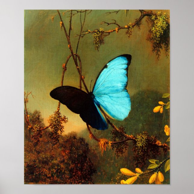 Martin Johnson Heade Blue Morpho Butterfly Poster (Framsidan)