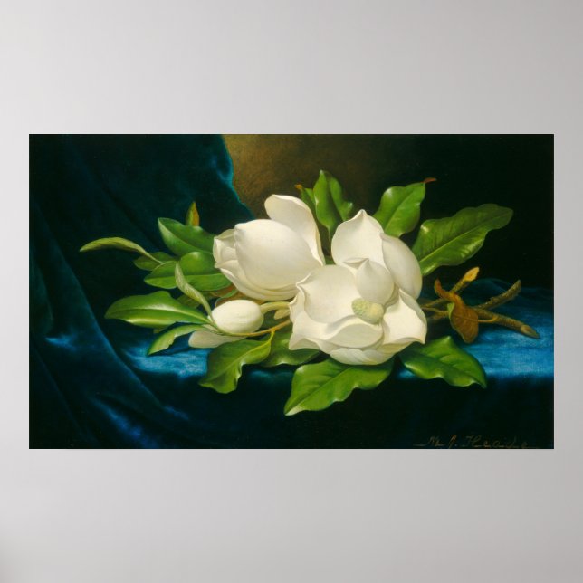 Martin Johnson Heade Fine Art Poster (Framsidan)
