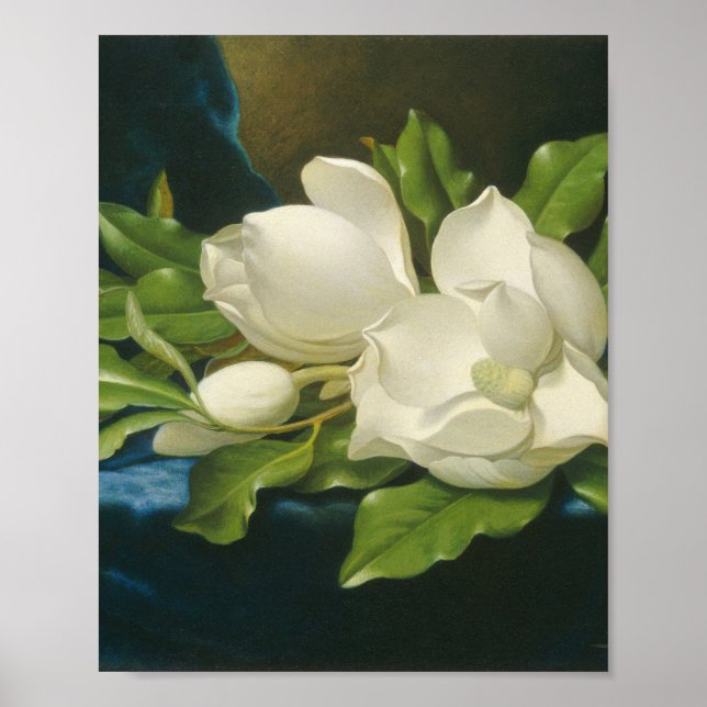 Martin Johnson Heade - Giant Magnolias Poster (Framsidan)