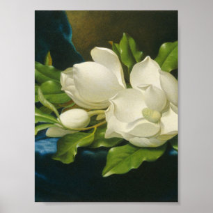 Martin Johnson Heade - jätte- Magnolias Poster