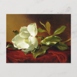 Martin Johnson Heade Magnolia Vintage Vykort