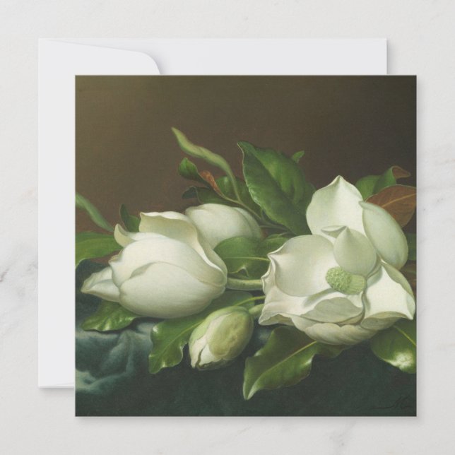 Martin Johnson Heade - Magnolias Julkort (Framsida)