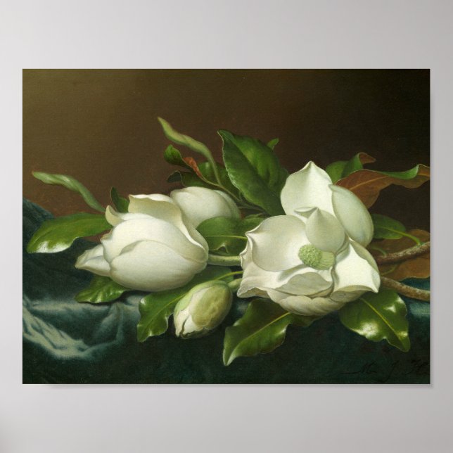 Martin Johnson Heade - Magnolias on Light Blue Poster (Framsidan)