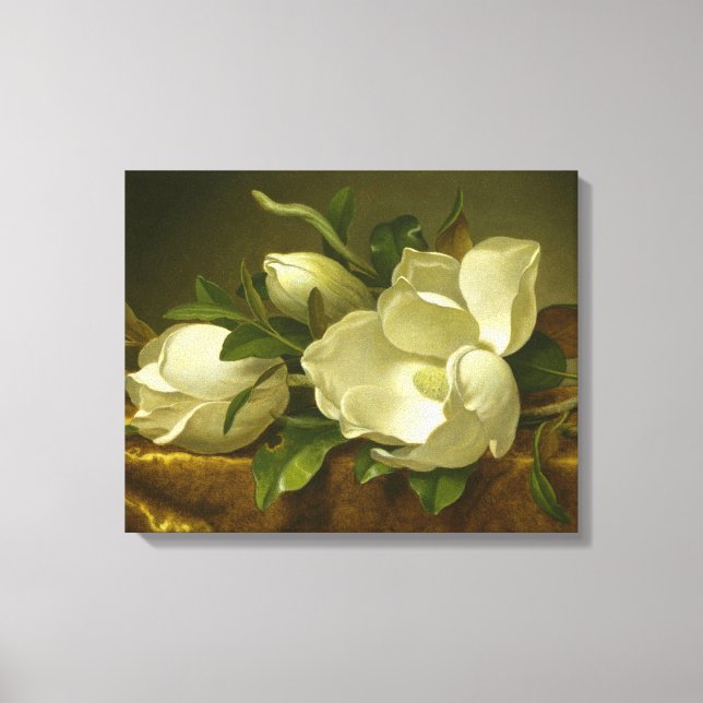 Martin Johnson Heade - Magnolias på Guld Velvet Canvastryck (Framsida)