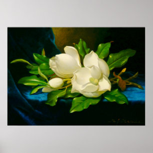 Martin Johnson Heade - Magnolias på Guld Velvet Poster
