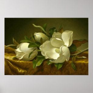 Martin Johnson Heade - Magnolias på Guld Velvet Poster