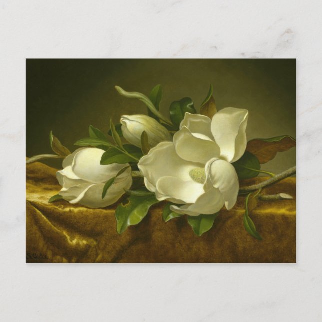 Martin Johnson Heade - Magnolias på Guld Velvet Vykort (Framsida)