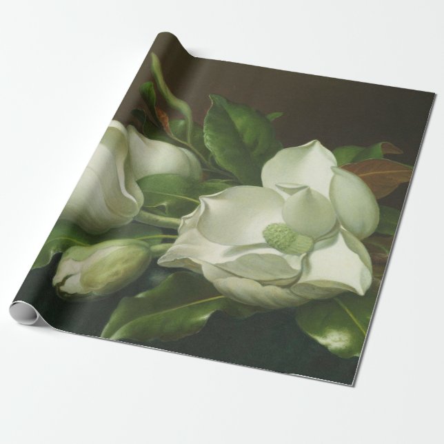 Martin Johnson Heade - Magnolias Presentpapper (Utrullad)