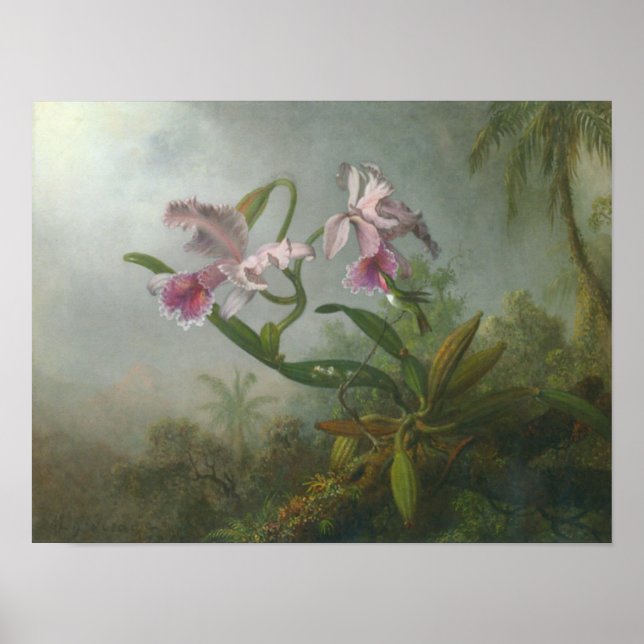 Martin Johnson Heade_Orchid-hummingbird Poster (Framsidan)
