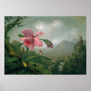 Martin Johnson Heade - Orchid med två Hummingbird Poster