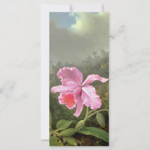 Martin Johnson Heade Orchid och Hummingbird