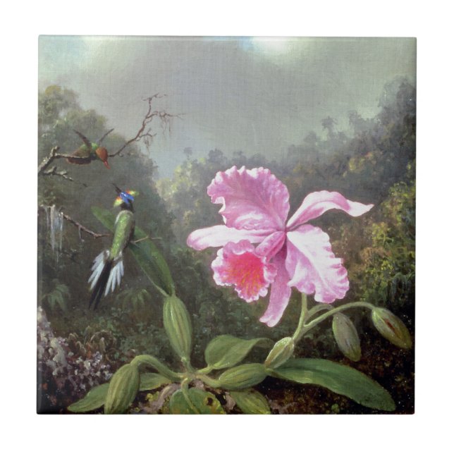 Martin Johnson Heade Orchid och Hummingbird Kakelplatta (Framsidan)