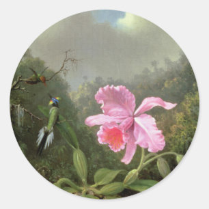 Martin Johnson Heade Orchid och Hummingbird Runt Klistermärke