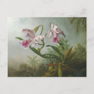 Martin Johnson Heade - Orchids och Hummingbird Vykort