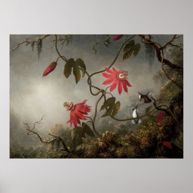 Martin Johnson Heade - Passion Flowers och Humming Poster (Framsidan)