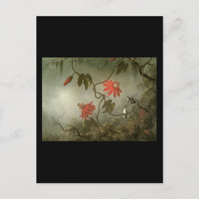 Martin Johnson Heade Passion Flowers och Hummingbi Vykort (Framsida)