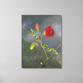MARTIN JOHNSON HEADE - Röd ros med Ruby Throat - Canvastryck