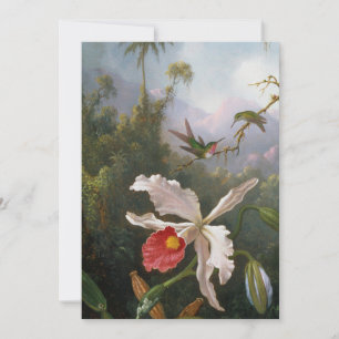 Martin Johnson Heade - Två Hummingbird Julkort