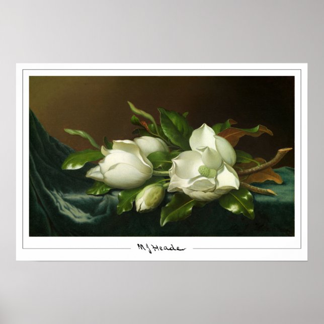 Martin Johnson Heade Zedign Art Poster nr 12 (Framsidan)