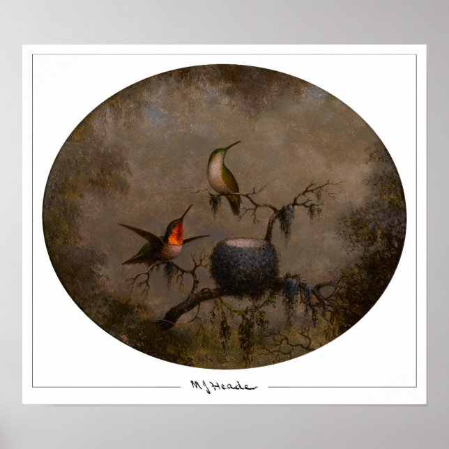 Martin Johnson Heade Zedign Art Poster nr 131 (Framsidan)