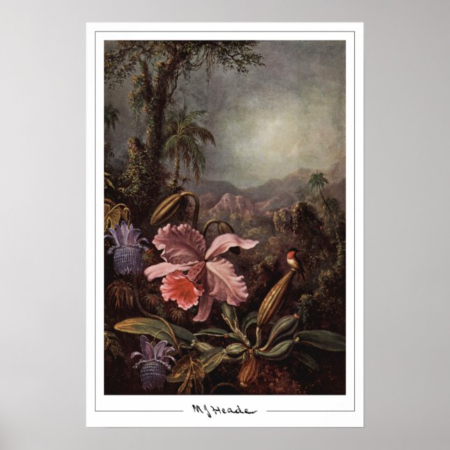Martin Johnson Heade Zedign Art Poster nr 202 (Framsidan)