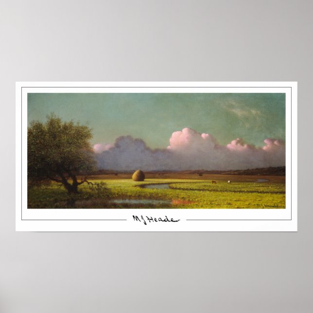 Martin Johnson Heade Zedign Art Poster nr 31 (Framsidan)