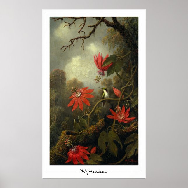 Martin Johnson Heade Zedign Art Poster nr 36 (Framsidan)