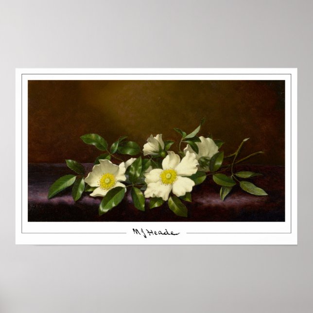Martin Johnson Heade Zedign Art Poster nr 52 (Framsidan)