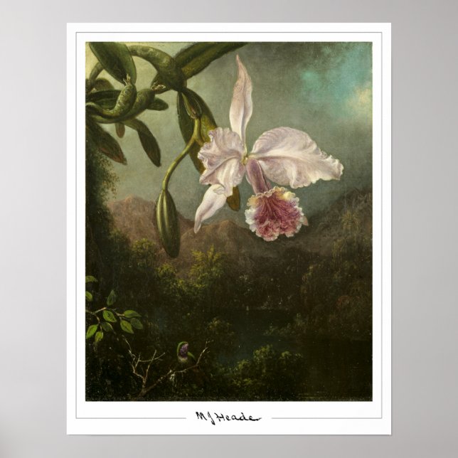 Martin Johnson Heade Zedign konstaffisch #2 Poster (Framsidan)