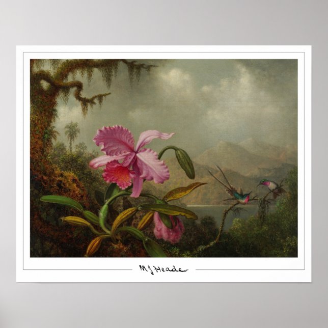 Martin Johnson Heade Zedign konstaffisch #51 Poster (Framsidan)
