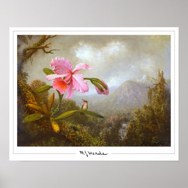 Martin Johnson Heade Zedign konstaffisch #8 Poster (Framsidan)