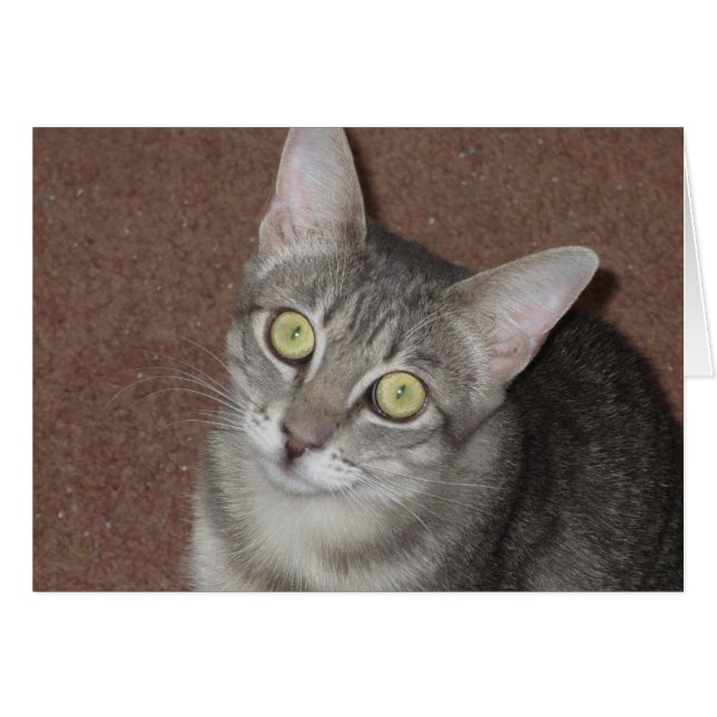 Martini Hälsningskort (Framsidan Horizontal)