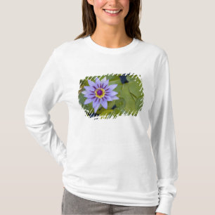 Martinique, Franska Antillerna, Västindien, Blå T Shirt