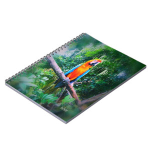 Martinique Macaw Anteckningsbok Med Spiral