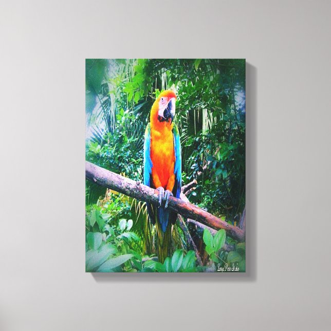 Martinique Macaw Canvastryck (Framsida)