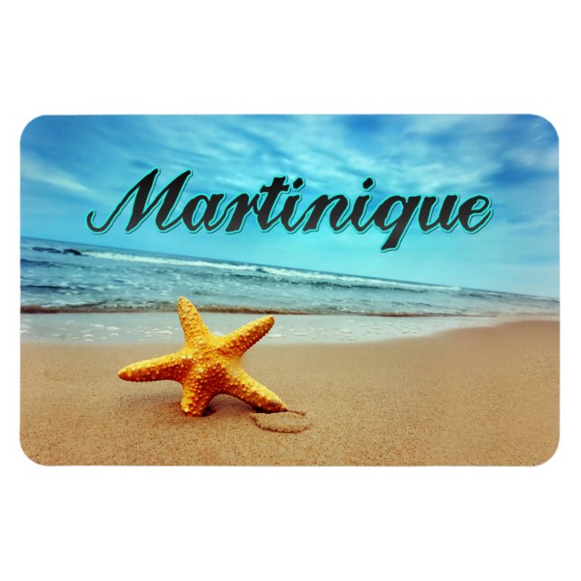 Martinique starfish magnet (Horisontell)