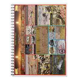 Martiska skatteterver anteckningsbok