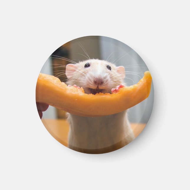 Marty Mouse Canaloop Magnet (Framsidan)