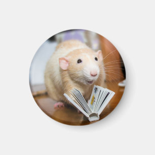 Marty Mouse Kärlek att läsa magnet