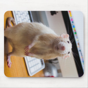 Marty Mouse Mousepad - Datormus Musmatta