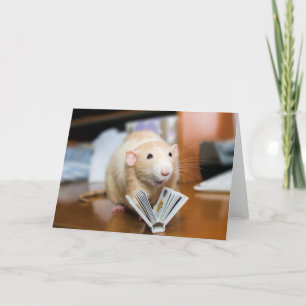 Marty Mouse Reading Bok Greeting Card Kort