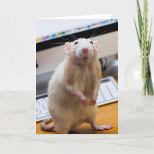 Marty Mouse stående upp hälsningskort Kort