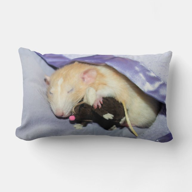 Marty Sleeping with RatTeddy 16x16 Pillow Lumbarkudde (Framsida)