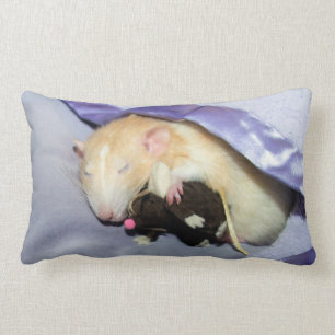 Marty Sleeping with RatTeddy 16x16 Pillow Lumbarkudde